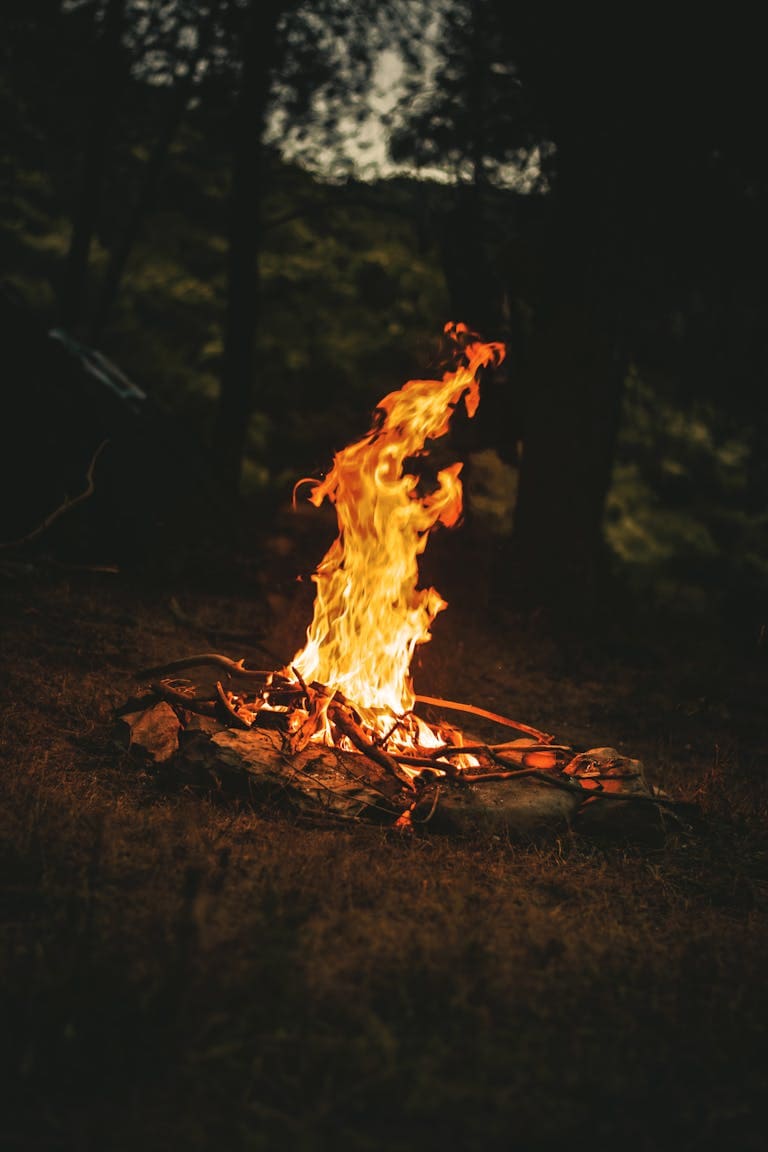 Bonfire