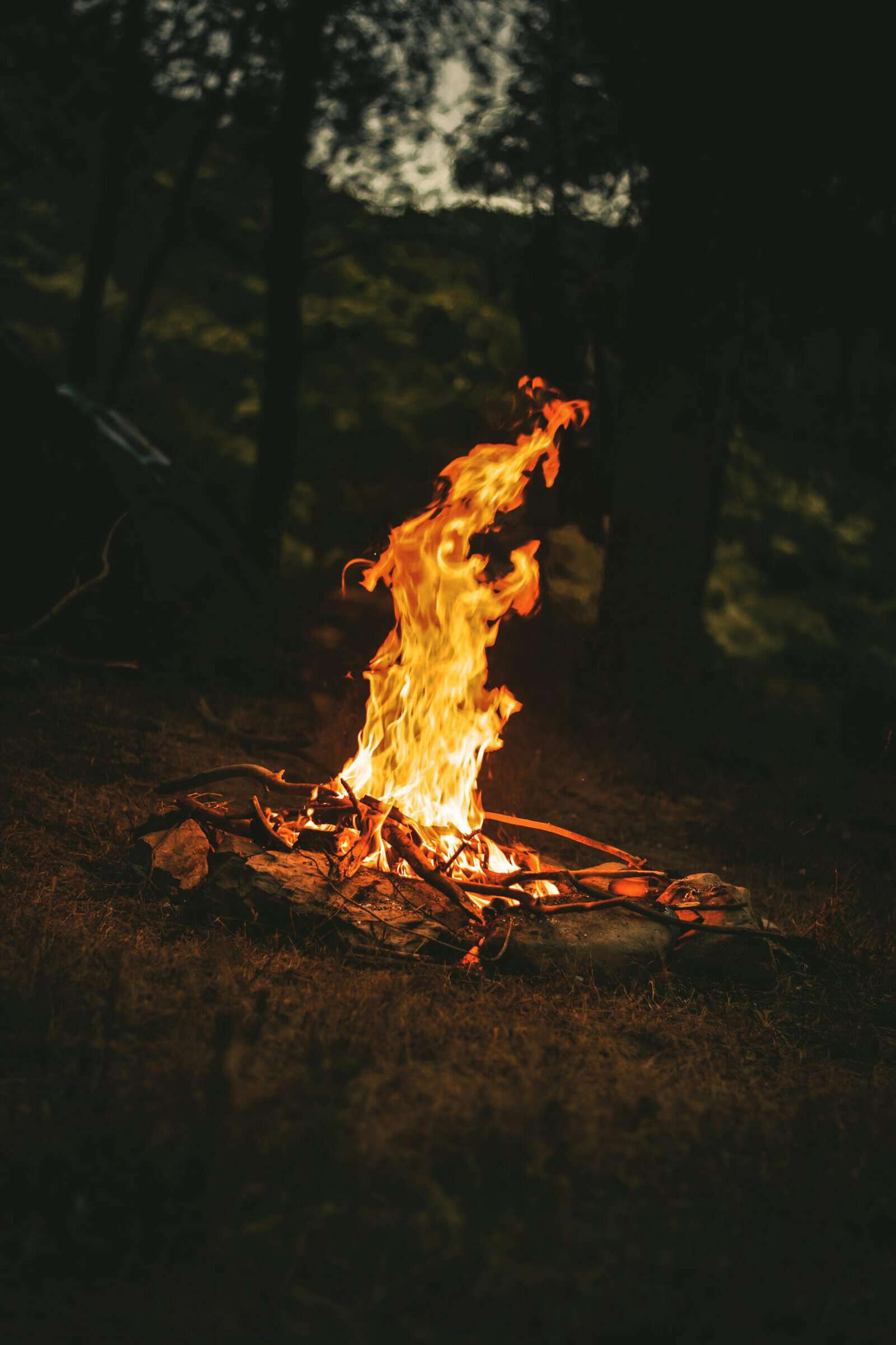 Bonfire